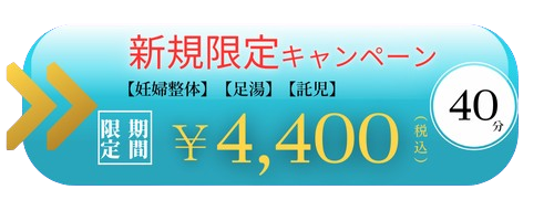 1743919925766 妊婦整体金額バナー